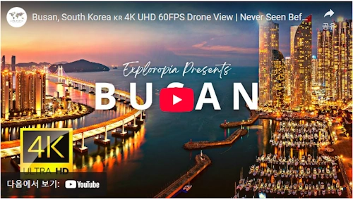 Busan Trip 
