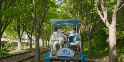 Family By Choice location 20 railbike